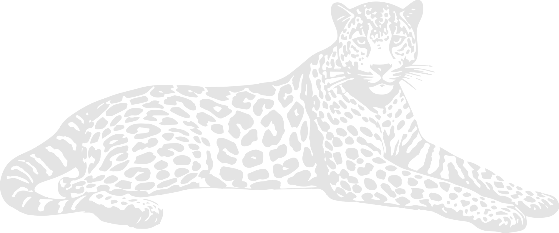 Jaguar illustration